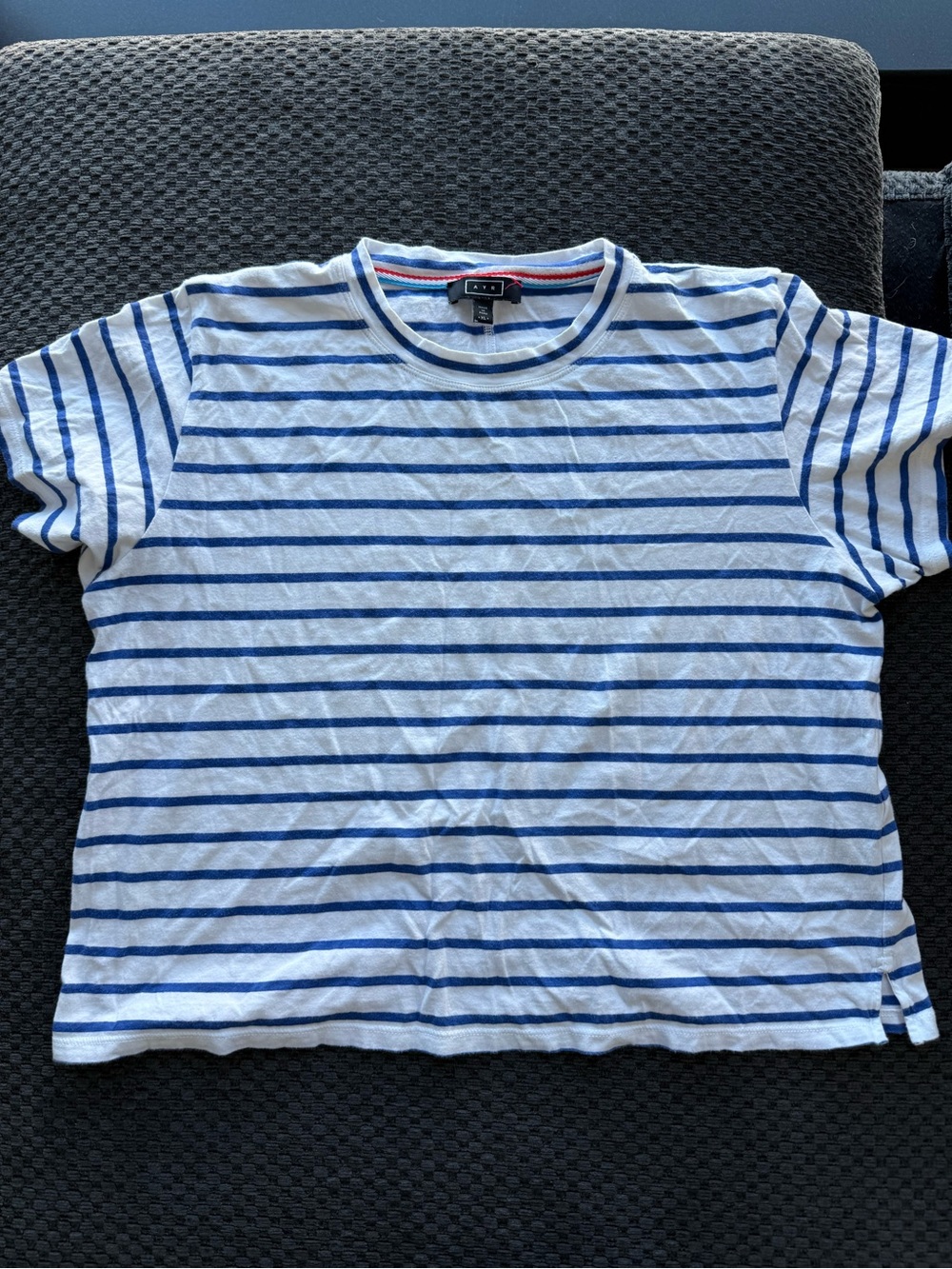 White & Blue Stripe Crewneck Women's T-Shirt